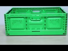 Dış Boyut 600*400*220mm Tarım Plastik Hareket Kutusu Meyve İçerikleri