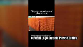 Logo Serigrafi Baskılı Özel Yığın ve Yuva Plastik Kasalar | Logis için Dayanıklı Markalama Çözümü