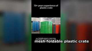 ABD Müşteri Yerden Tasarruf Sağlayan Yeniden Kullanılabilir Lojistik Çözümü için Mesh Katlanabilir Plastik Kasa Ambalajı