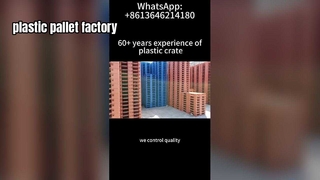 Özel Renk Seçenekleri ile Plastik Palet İmalatı