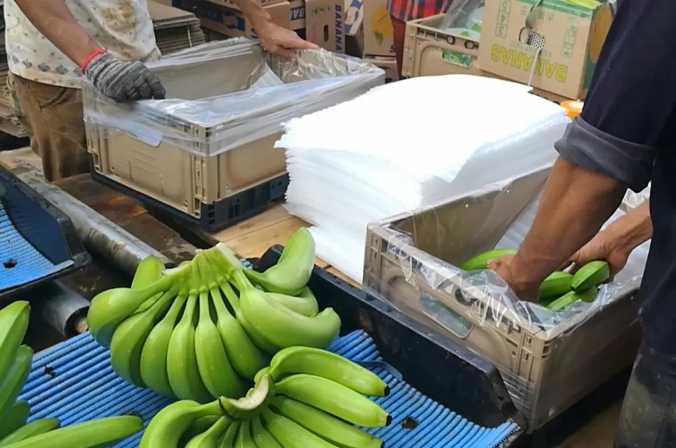 Şirketin en son blog yazıları From Banana Farms to Global Agriculture: How Reusable Plastic Crates Are Evolving