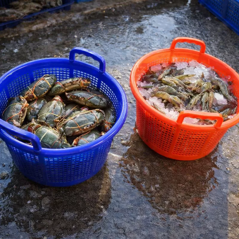 Şirketin en son blog yazıları What Should Buyers Check When Evaluating a Plastic Shrimp Basket Sample?